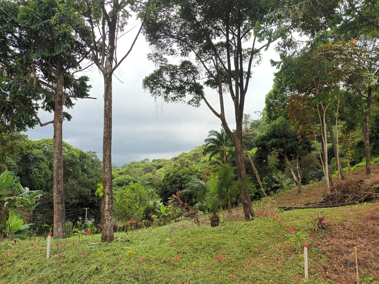 El terreno mirando hacia las montañas