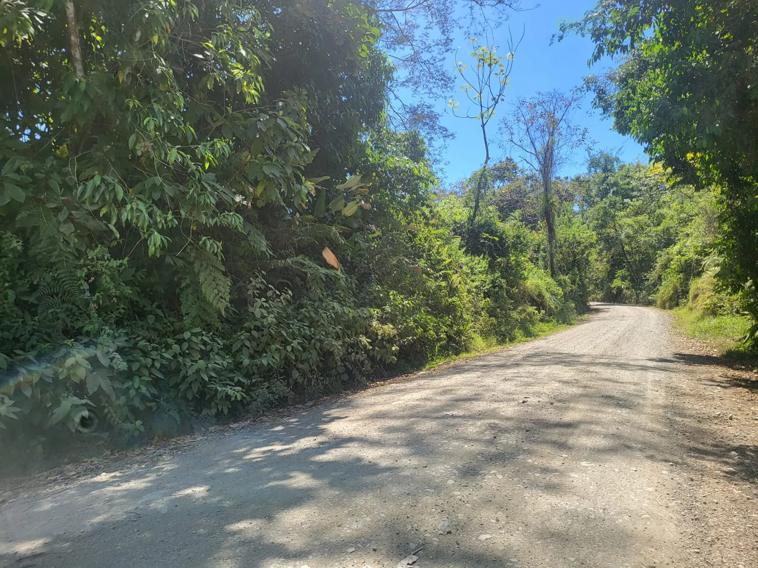 Acceso al terreno por calle pública