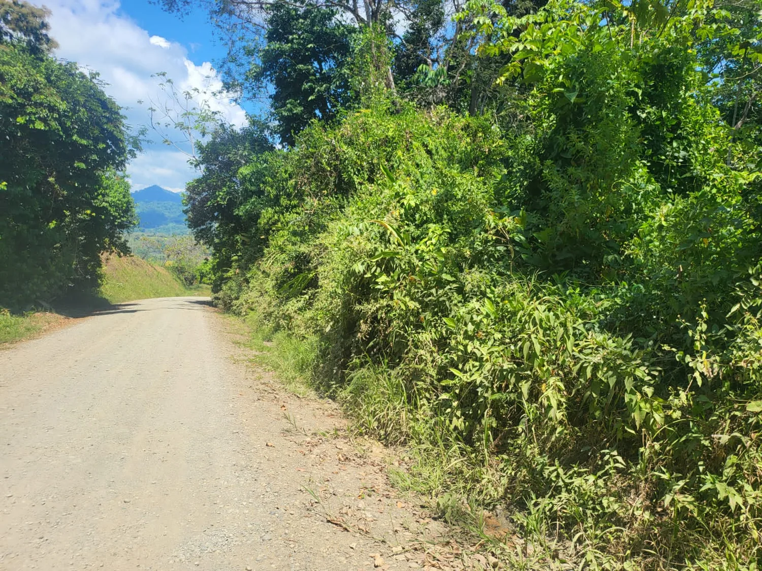 Camino con vista abierta al valle