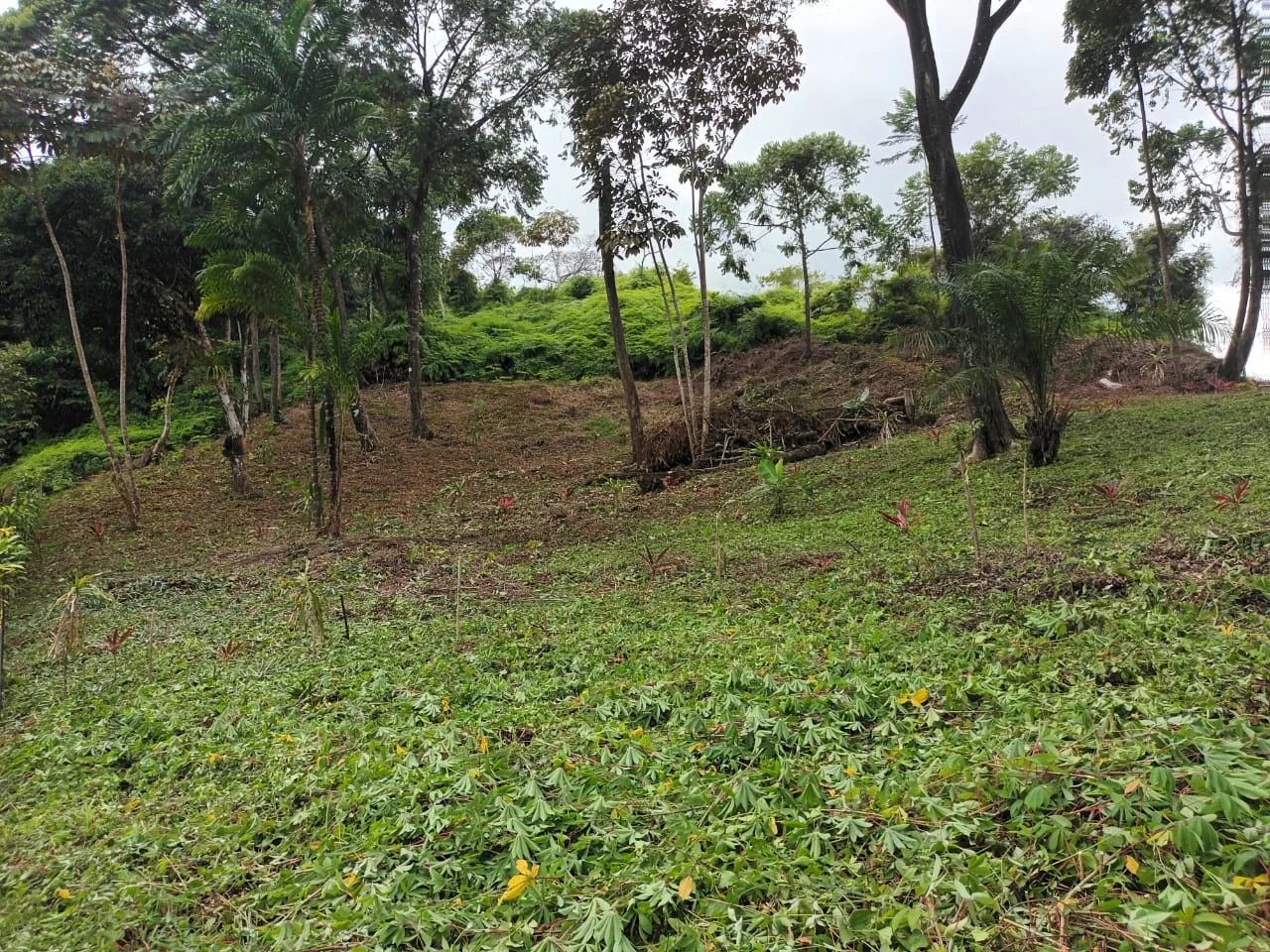 Lote de pendiente suave con vistas abiertas