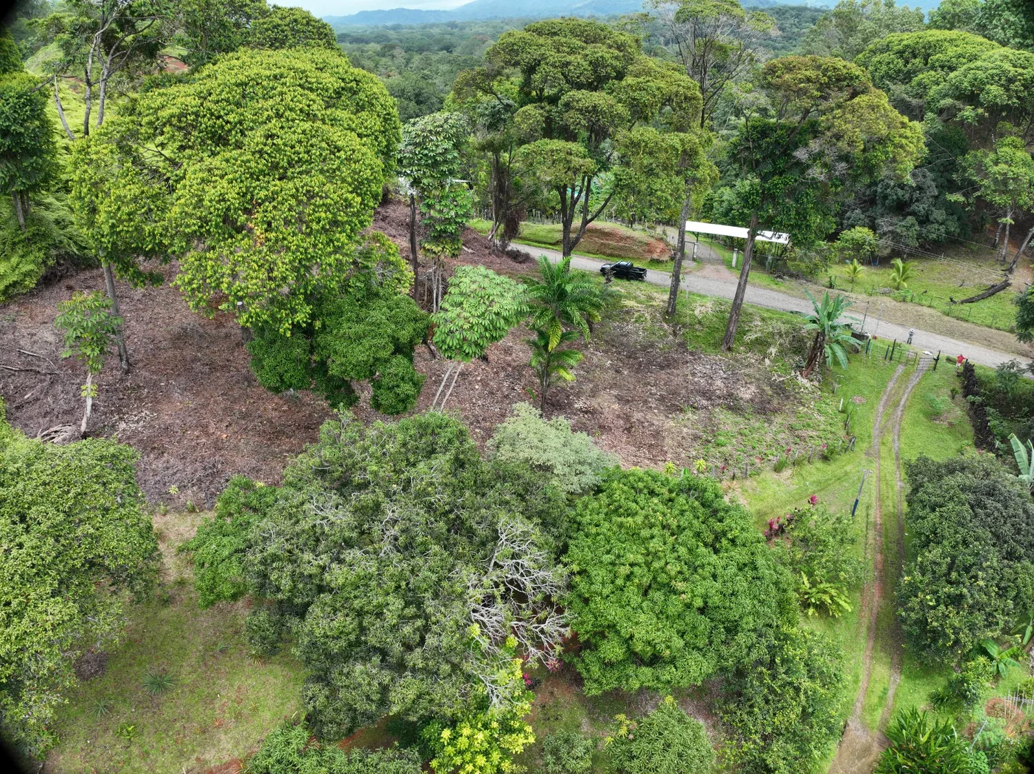 Vista aérea sobre el terreno
