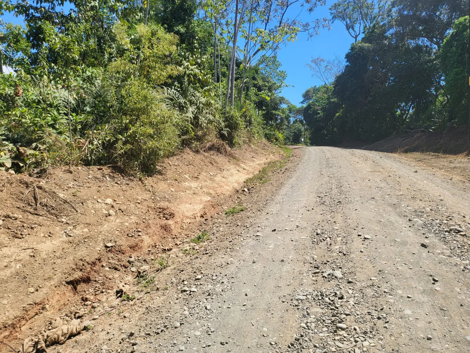 El camino de subida a la propiedad