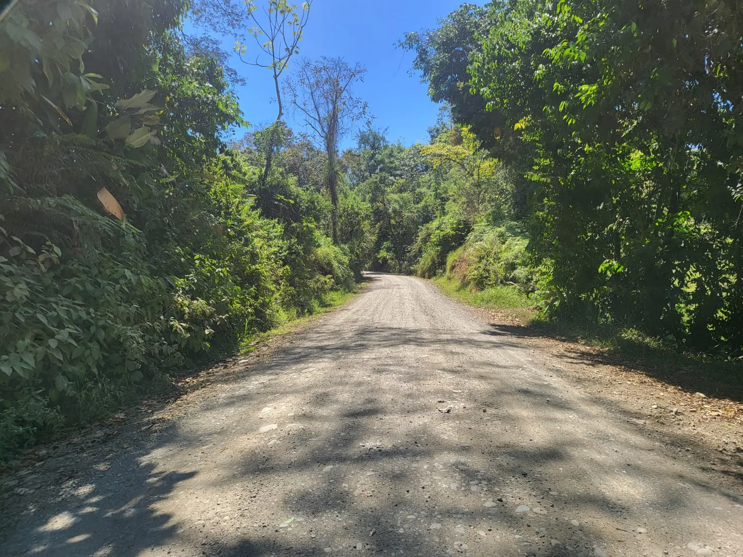 Acceso por el camino del bosque
