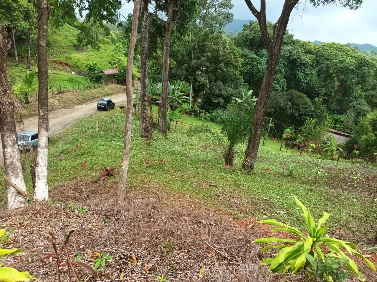 Lote con vistas abiertas y acceso por camino