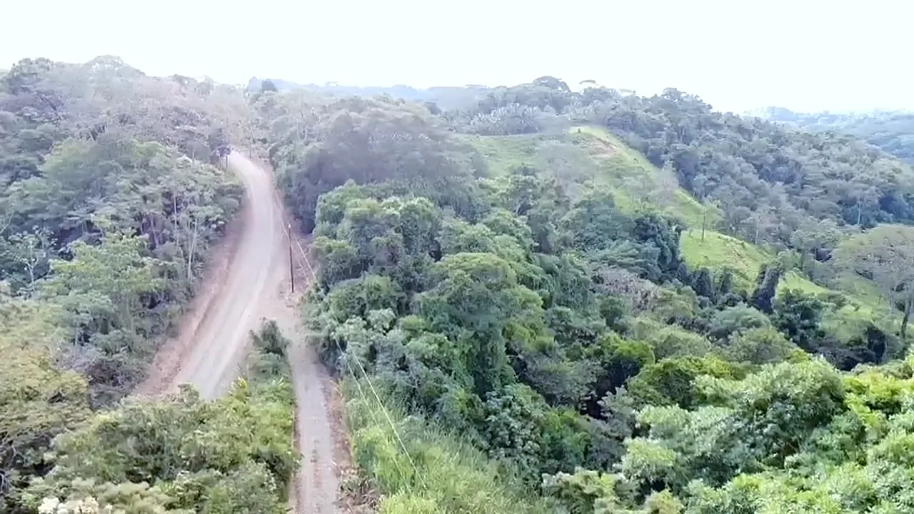 Vista aérea del camino entre las colinas verdes cerca de Londres, Costa Rica