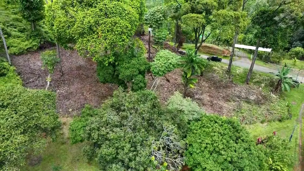 Vista aérea HD de la propiedad, árboles y lotes despejados en Londres, Costa Rica