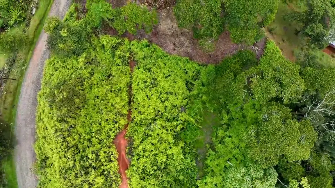 Vista aérea HD del camino y el terreno verde en Londres, Costa Rica