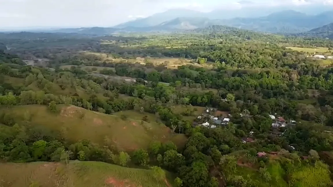 Vista aérea cenital del terreno verde y el camino de acceso